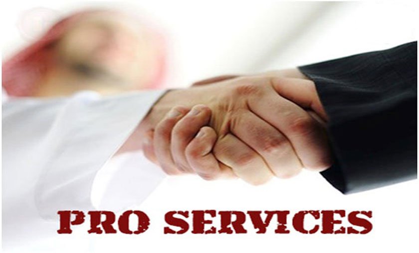 pro service in Qatar