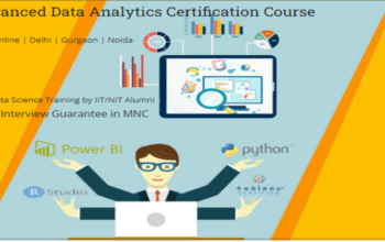 Data Analyst Course in Delhi, 110004. Best Online