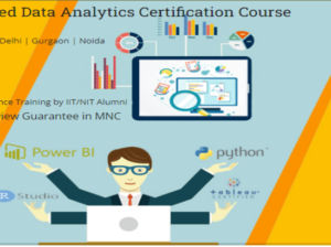 Job Oriented Data Analyst Course in Delhi,110029.